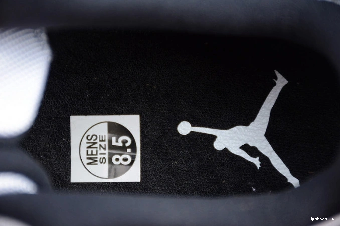 528895-153 Concord Jordan 11  Low Retro 0212